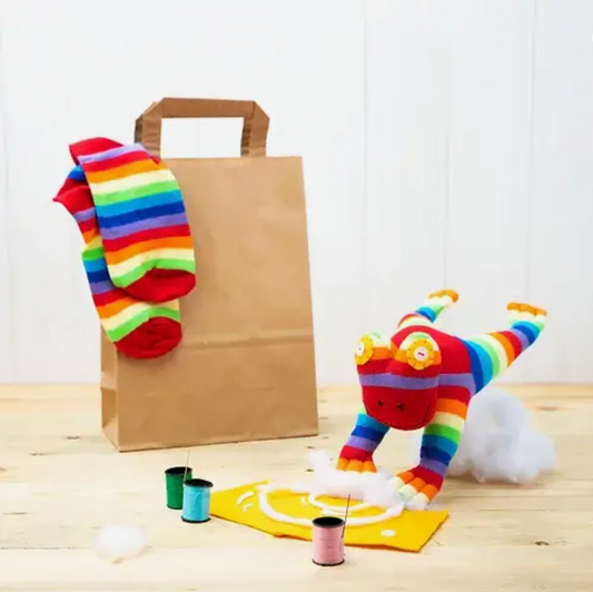 Sock Frog Craft Kit