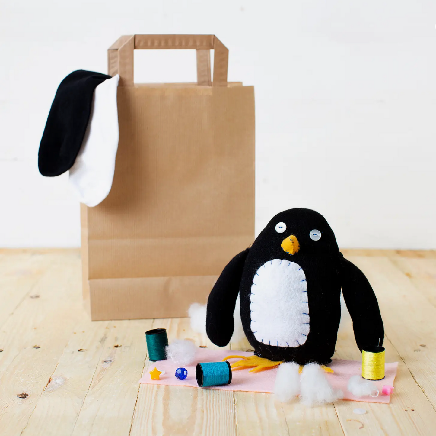 Sock Penguin Craft Kit