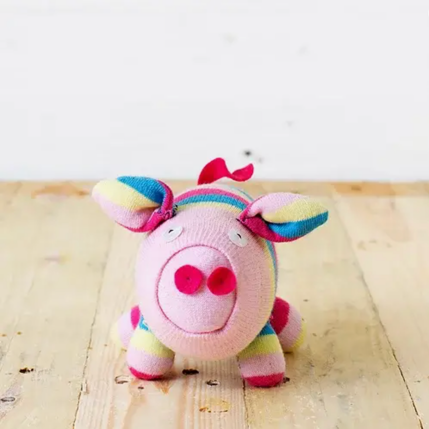 Sock Piggy Craft Kit