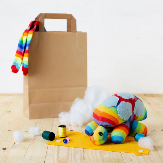 Sock Turtle Craft Kit