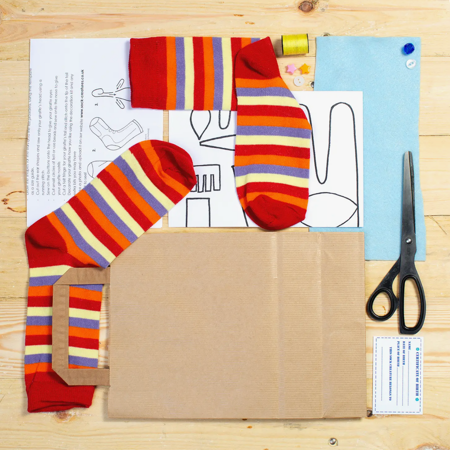 Sock Turtle Craft Kit